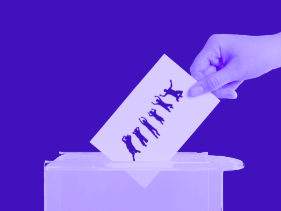 votar en una urna a políticos