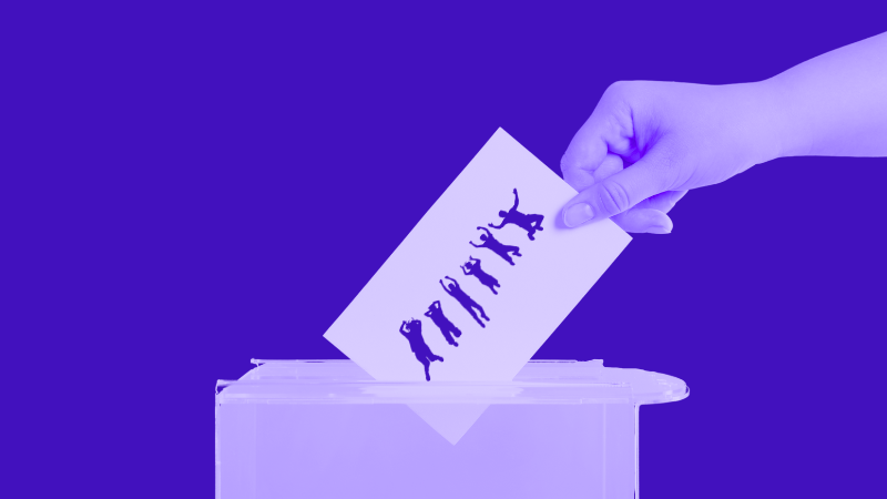 votar en una urna a políticos